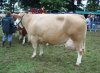 montigny 2010 championne adulte